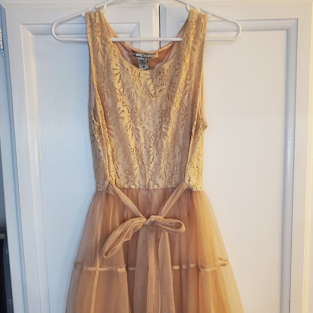 Cream Lace and Tulle Dress